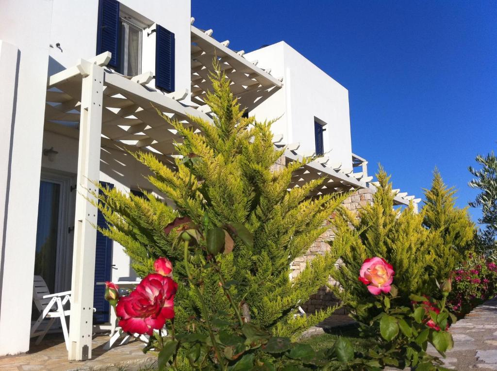 Elea Apartments Kalamos  Room photo
